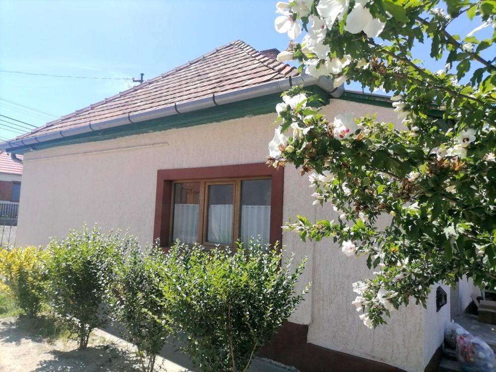 Lankas Vendeghaz - Holloko Villa Ngoại thất bức ảnh